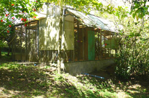 The large glassed aviary is sheltered in a stand of trees. 