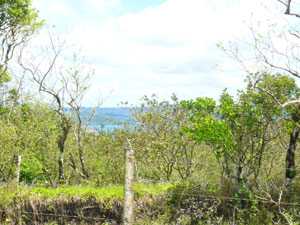 The lot on which the house sits has a higher area behind the house from which the volcano and lake can be seen.