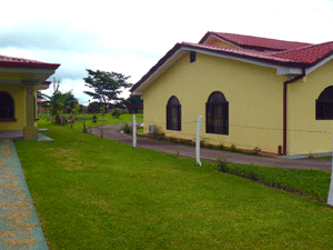 There are tall electric gates front and back and the driveway curves around the house to join the two entrances.