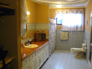 The large master bathroom includes a large walk-in closet.