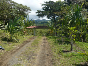 The buiding site is reached by a private drive from the handsome private gate which will have automatic control.