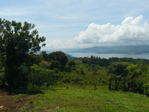 There is plenty of space in front of the house for a hottub or swimming pool from which to further enjoy the lake view and the teperate climate.