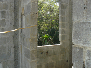 The laundry room, reached by a covered walkway outside, has a nice view of neighboring forest. 