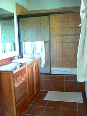 One of the two bathrooms.