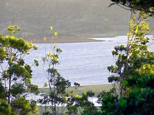 Lake Arenal below the house.