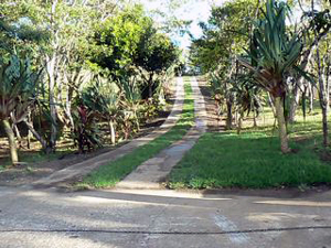 The private driveway leads through the trees to the house on the bluff overlooking the lake.