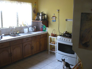 The kitchen is large and useful.