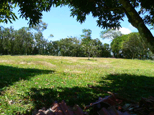 There are nice building areas on the large open spaces amed the fruit trees.