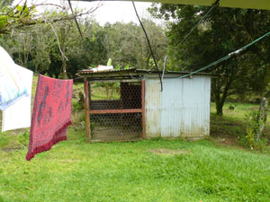 The view of the 3/4 acre lot is broken by a chicken coop.