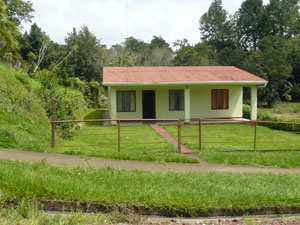 The tidy house sits on a large lot.