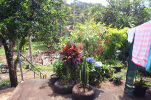 The house overlooks the communal buildings of Rio Piedras.