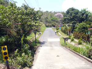 The bridge spans the Rio Guadalajara, which runs for several hundred feet along the lot. The house is barely visible in the trees on the other side of the bridge on the left.