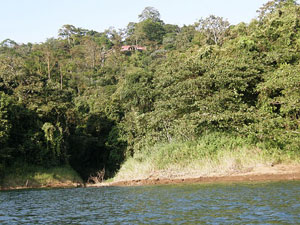 The two homes are largely hidden in the hillside forest above the lake.