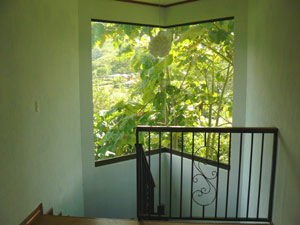 The stairway window looks out on wooded shallow valley on the western side, the side opposite the volcano.