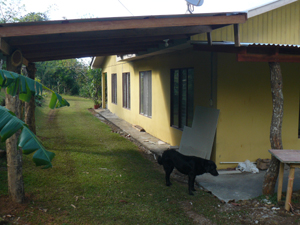 The lane side of the house just after the carport was finished outside the newly remodeled apartment.