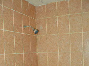 Tiling and showerhead in the new modernized bathroom.