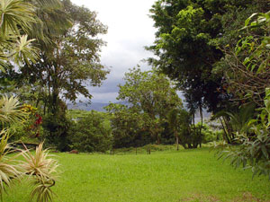 The back of the house has a lake view.