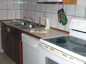 The kitchen appliances include a dishwasher and there is also a combo washer/dryer.