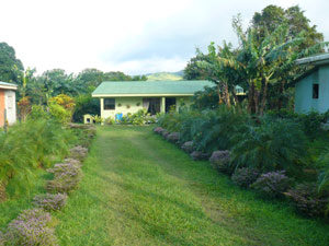 This pleasant drive leads to the house from the center of the villageof San Luis. 