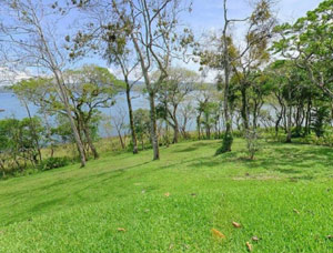 In front of the homes, a lawn slopes down through the treeline to the beach and lake.