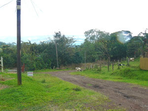 The street end in forest 100 yards below the house.