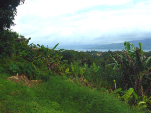 From the back yard, there's a long view toward the Arenal Volcano. 