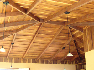 The apartment suite has a high beamed ceiling of native wood.