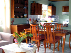 The living room, dining area and kitchen share an open floor plan.