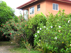 The partial second story is a large self-sufficient rental with a fireplace and views of the lake and volcano.