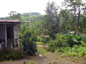 Though Lake Arenal is within 400 yards, it cannot be seen from the house. 