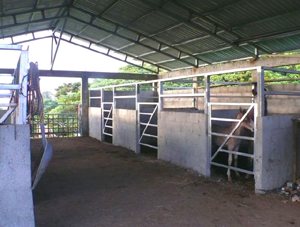 The large well designed stables has stalls for several horses.