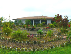 The home has extensive gardens with many exotic plants and many varieties of fruit trees. 