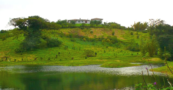 The home enjoys wonderful 360-degree vistas from its hilltop site. Before it is a 2.5-acre private lake stocked with tilapia. 