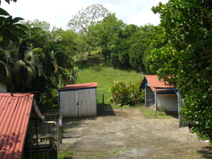 Around the "courtyard" are the house, a storage bulding, and three carports. 