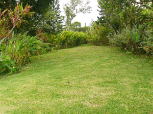 Here's yet another pleasant open area that, amazingly enough, cannot be seen from the peninsula across the cove.