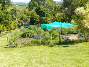 One of two fenced organic gardens on the property.