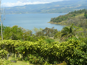 The house looks out on San Luis Cove and Lake Arenal.