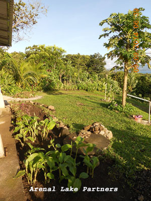 Front lawn and part of gardens