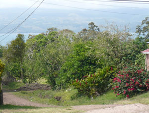 From the front of this San Luis duplex, here is the view of Lake Arenal and the woods below San Luis. 