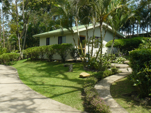 The cottage is surrounded by lovely landscaping, including tall indigenous trees.