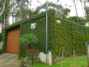 The property above the forest is surrounded by high walls and is accessed by this huge automatic gate.