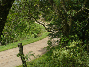 The lake road runs from Tronadora to the village and river Rio Chiquito, joining another road that goes to Monteverde. 