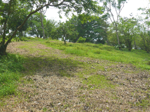 A very large clear area borders the lake road at the bottom of the property.