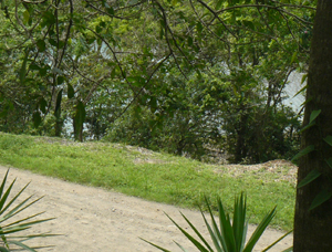 A cove of Lake Arenal lies right across from the property's long frontage on the lake highway.