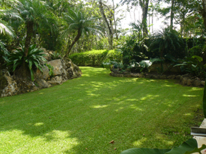 The central portion of the property is throughly landscaped with a grand rockery, perfect lawns, hedges, many tropical plants, inlcuding orchids, and some magnificent trees. 