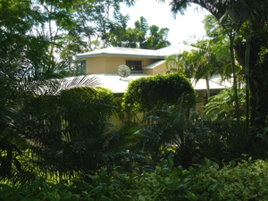 The main house is surrounded by a great variety of tropical trees and bushes. 