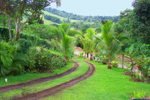 A landscaped curving driveway leads gracefull from the lake road to the home.