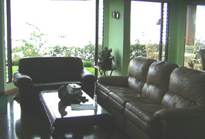 The house is being sold fully furnished, including the leather living room furniture. 