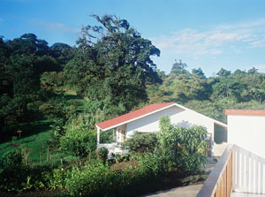 The cabina, with kitchen, living room, bathroom, and loft bedroom, is across the parking area from the main house. 