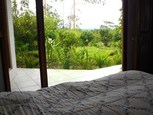 The downstairs bedroom opens to a patio with garden and lake views.